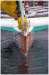 rgionguadeloupetrimaran60piedsskipperclaudethlier2_small.jpg