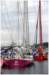 roxymonocoque60piedsskipperanneliardetetstillvoliaskipperrolandjourdainditbilou_small.jpg