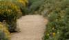 belleile05_small.jpg
