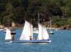 golfe01_small.jpg