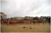 rassemblement_small.jpg