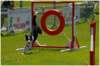 a14jaitplusvitequelephotographe_small.jpg