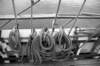 cor03nb_small.jpg