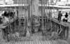 cor08nb_small.jpg