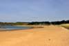 plagedeschevrets2_small.jpg