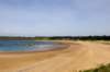 plagedeschevrets3_small.jpg