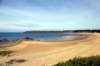 plagedeschevrets4_small.jpg