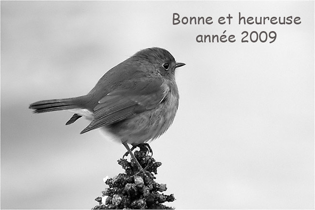 sommaire