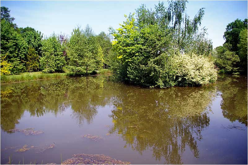 leplandeauaumilieudesjardins.jpg